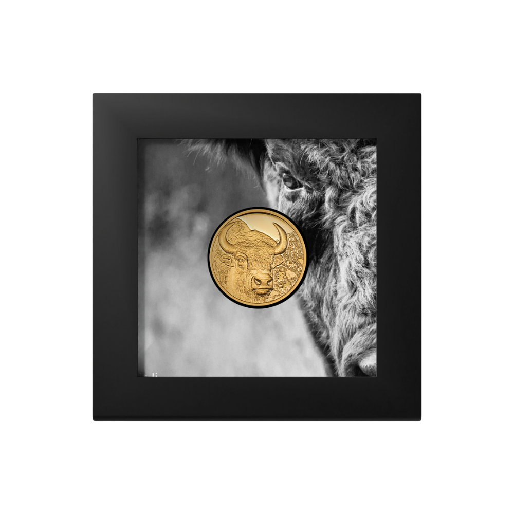 Bison Wild Mongolia 1/10 Oz Gold Coin 2025