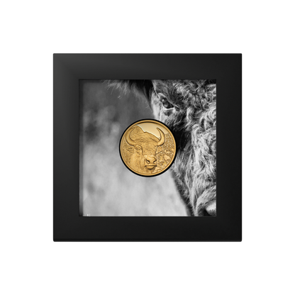 Bison Wild Mongolia 1/10 Oz Gold Coin 2025