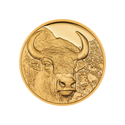 Bison Wild Mongolia 1/10 Oz Gold Coin 2025