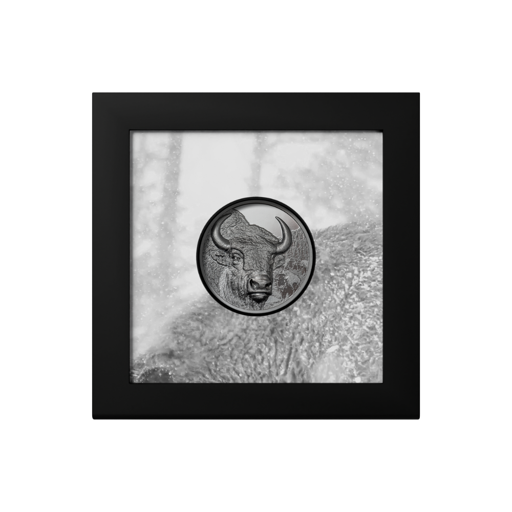Bison Wild Mongolia 2 Oz Black Proof Silver Coin 2025