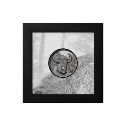 Bison Wild Mongolia 2 Oz Black Proof Silver Coin 2025