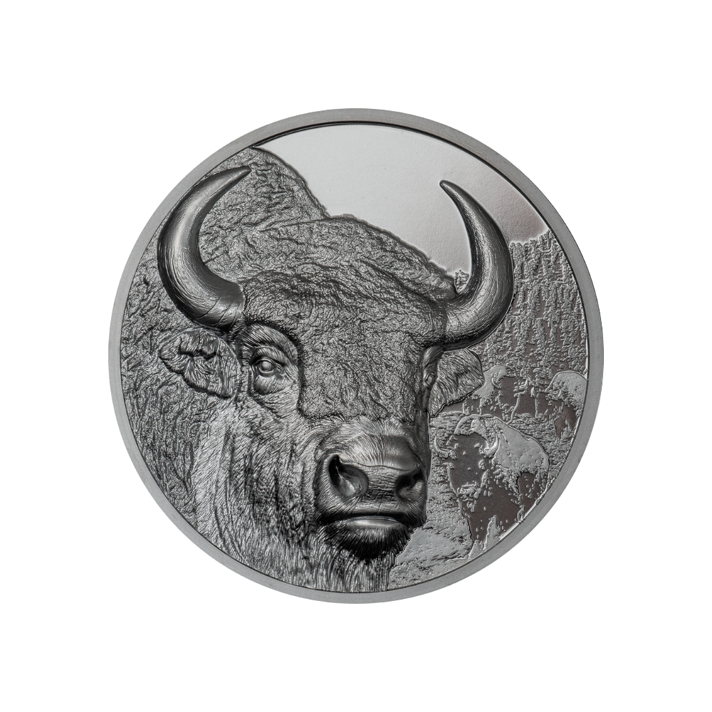 Bison Wild Mongolia 2 Oz Black Proof Silver Coin 2025