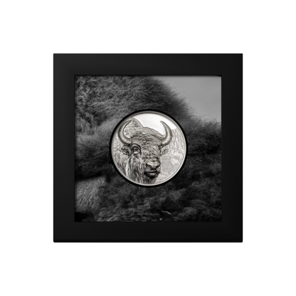 Bison Wild Mongolia 3 Oz Silver Coin 2025