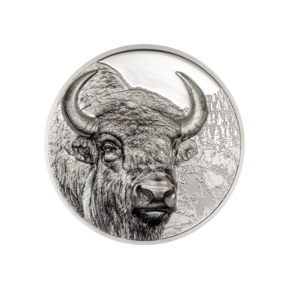 Bison Wild Mongolia 3 Oz Silver Coin 2025