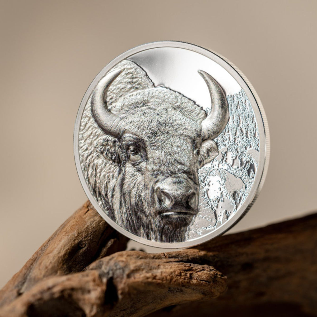 Silver Bison Bison Wild Mongolia 1 Oz Silver Coin 2025 - CIT Coin Invest AG