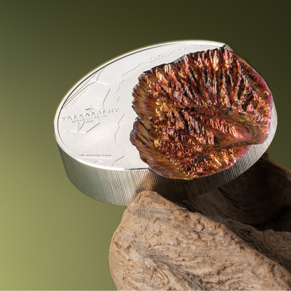 Bryce Canyon Topography 5 Oz Silver Coin 2026 CIT