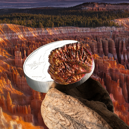 Bryce Canyon Topography 5 Oz Silver Coin 2026 CIT