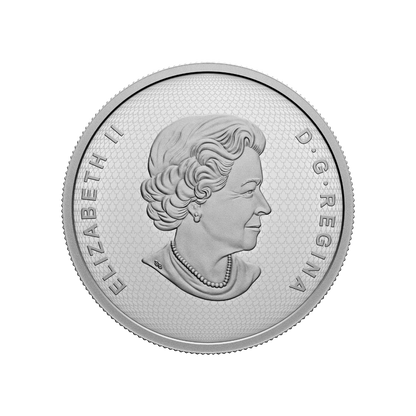 CANADIAN COLLAGE 3 Oz Silver Coin $50 Canada 2022