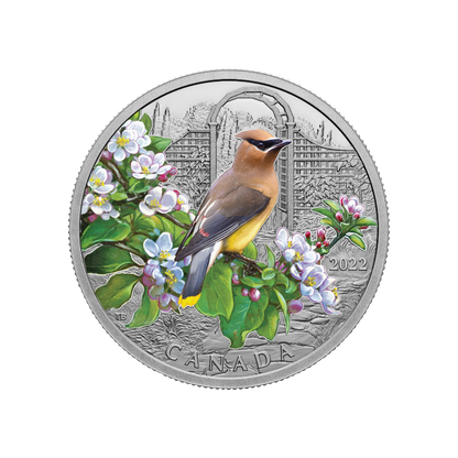 CEDAR WAXWING Colourful Birds 1 Oz Silver Coin $20 Canada 2022