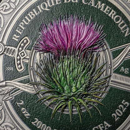 CELTIC Femina Bellator 2 Oz Silver Coin 2000 Francs Cameroon 2025
