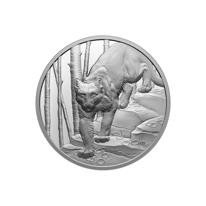 COUGAR Great Hunters 1 oz Silver Coin $20 Canada 2024