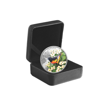Colourful Birds Baltimore Oriole 1 Oz Fine Silver Coin Canada 2025