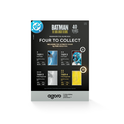 Batman: The Dark Knight Returns™ Blind Box Agoro