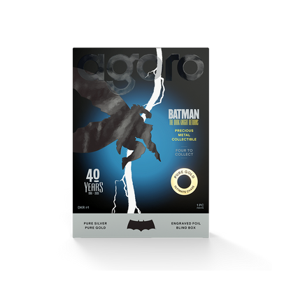 Batman: The Dark Knight Returns™ Blind Box Agoro