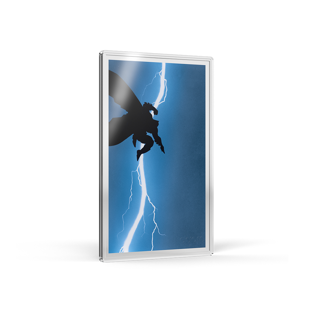 Batman: The Dark Knight Returns™ Blind Box Agoro