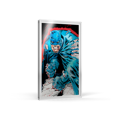 Batman: The Dark Knight Returns™ Blind Box Agoro