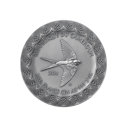 EROS AND PSYCHE Celestial Beauty 2 Oz Silver Coin 2000 Francs CFA Cameroon 2024