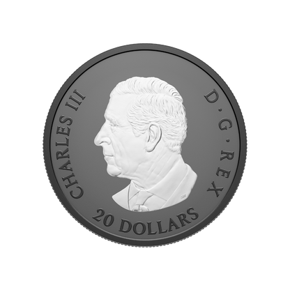 Elegant Maple 1 Oz Fine Silver Coin Canada 2025