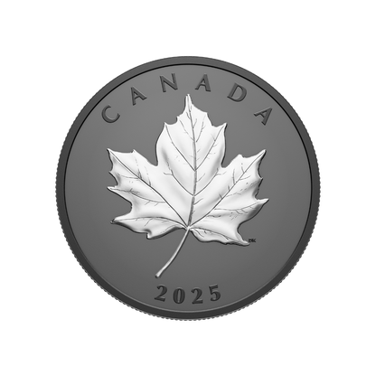 Elegant Maple 1 Oz Fine Silver Coin Canada 2025