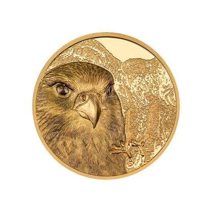 Falcon Wild Mongolia 1 Oz Gold Coin 2023