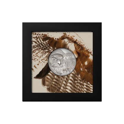 Falcon Wild Mongolia 1 Oz Silver Coin 2023