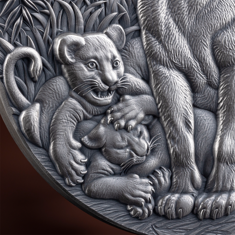 GRACE OF LIONESS Circle of Life 2 Oz Silver Coin 2000 Francs CFA Cameroon 2024