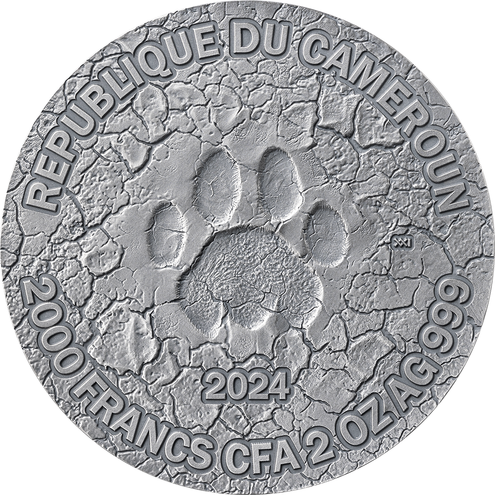 GRACE OF LIONESS Circle of Life 2 Oz Silver Coin 2000 Francs CFA Cameroon 2024