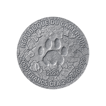 GRACE OF LIONESS Circle of Life 2 Oz Silver Coin 2000 Francs CFA Cameroon 2024