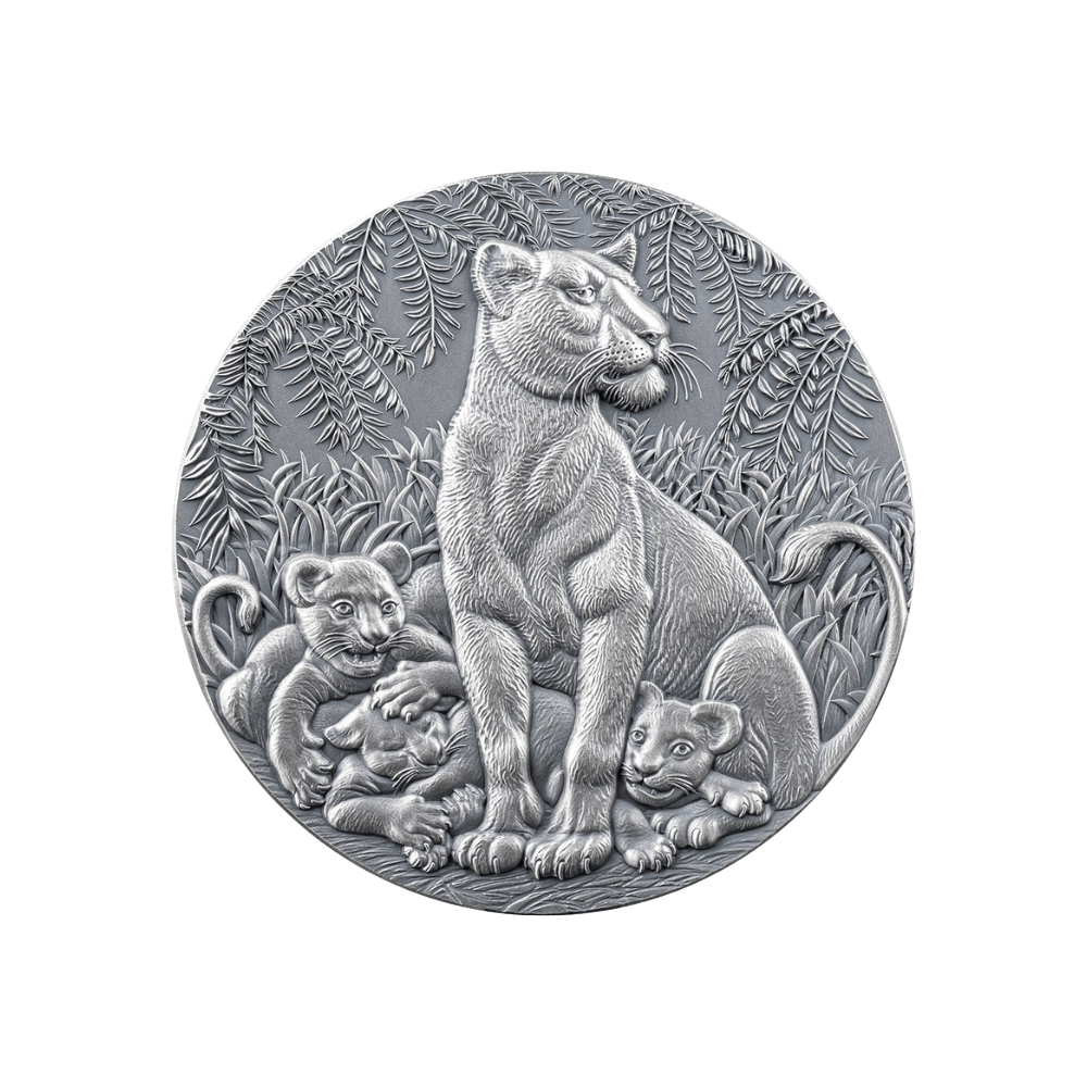 GRACE OF LIONESS Circle of Life 2 Oz Silver Coin 2000 Francs CFA Cameroon 2024