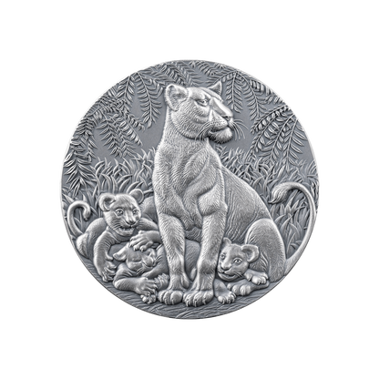 GRACE OF LIONESS Circle of Life 2 Oz Silver Coin 2000 Francs CFA Cameroon 2024