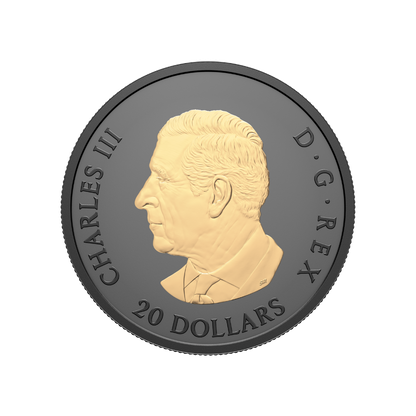 Gilded Elegant Maple 1 Oz Fine Silver Coin Canada 2025 Royal Canadian Mint