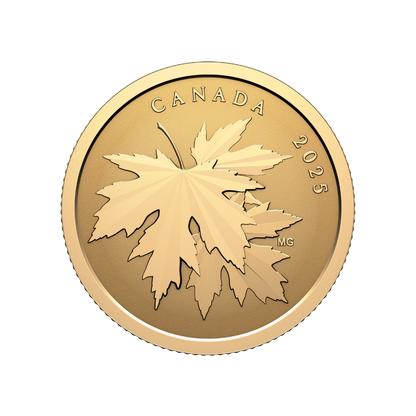 Gleaming Maple Leaves 1/4 Oz Pure Gold Coin 2025 Canada