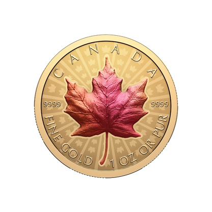 Gold Maple Leaf 1 Oz Pure Gold Ultra High Relief Coin Canada 2026 Royal Canadian Mint