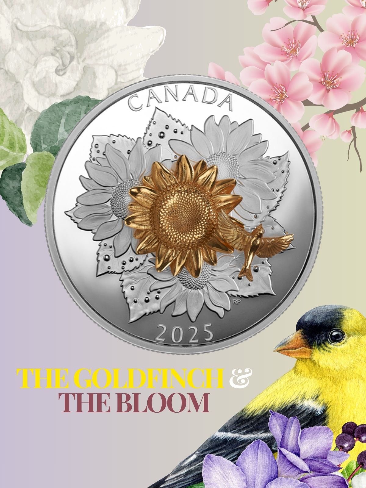 2025 The Goldfinch and the Bloom 5 Oz Pure Silver Coin Canada