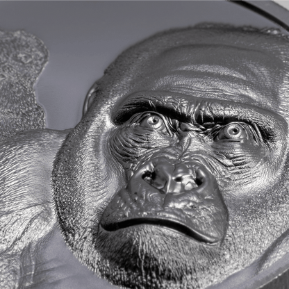 Gorilla Growing Up 2 Oz Silver Coin 2024