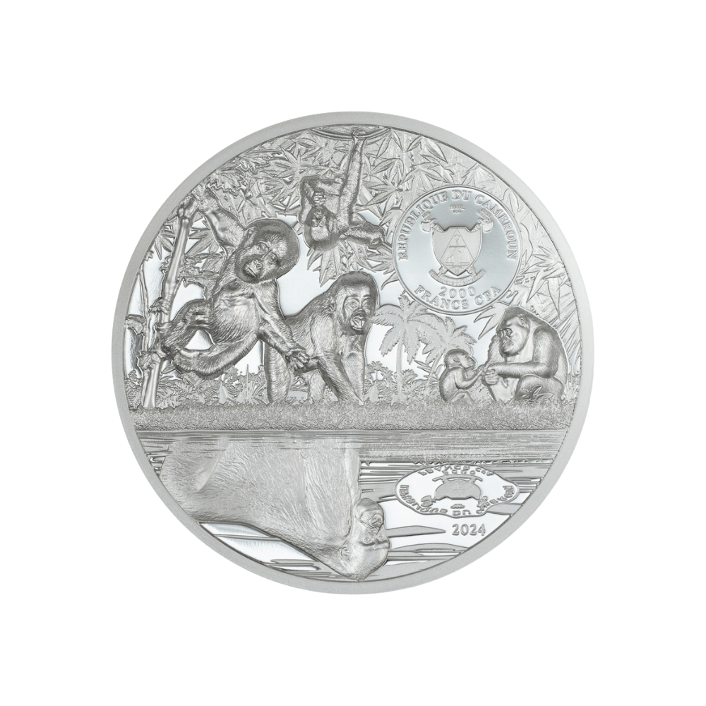 Gorilla Growing Up 2 Oz Silver Coin 2024