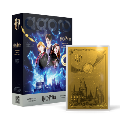 HARRY POTTER™ 25 Years of Magic Blind Box Agoro