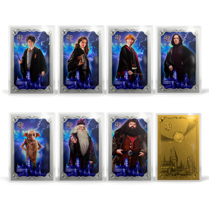 HARRY POTTER™ 25 Years of Magic Blind Box Agoro
