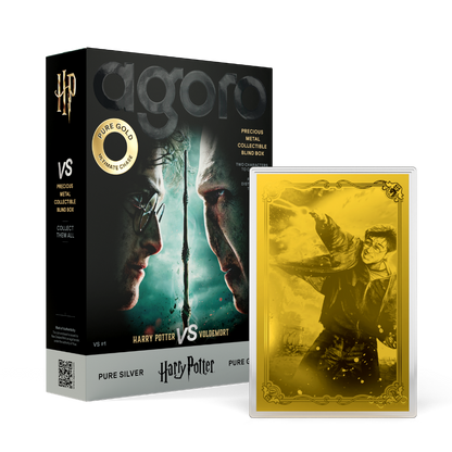 HARRY POTTER™ VS Voldemort Blind Box Agoro