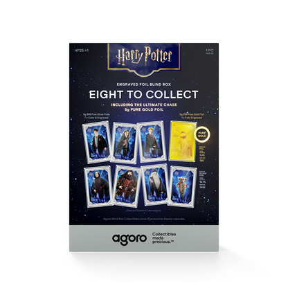 HARRY POTTER™ 25 Years of Magic Blind Box Agoro