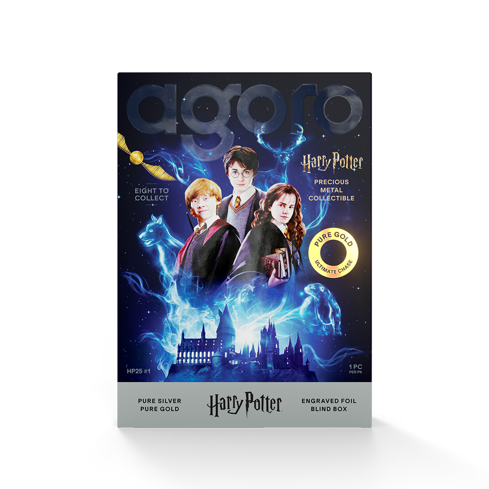 HARRY POTTER™ 25 Years of Magic Blind Box Agoro