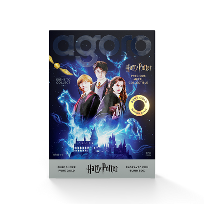 HARRY POTTER™ 25 Years of Magic Blind Box Agoro