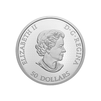 HUMMINGBIRD AND THE BLOOM 5 Oz Silver Coin $50 Canada 2020