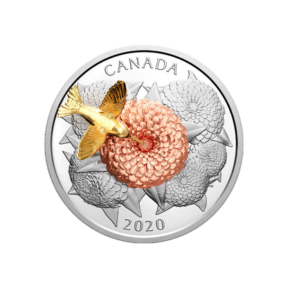 HUMMINGBIRD AND THE BLOOM 5 Oz Silver Coin $50 Canada 2020