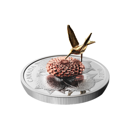HUMMINGBIRD AND THE BLOOM 5 Oz Silver Coin $50 Canada 2020