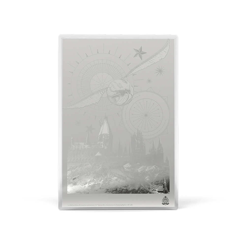 HARRY POTTER™ and the Sorcerer's Stone Silver Collectible Foil Agoro