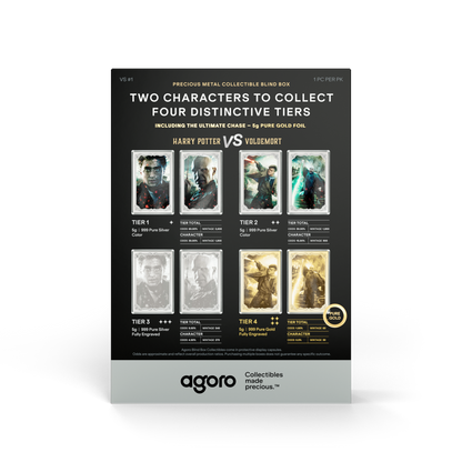 HARRY POTTER™ VS Voldemort Blind Box Agoro