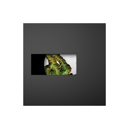 Hawaii Topography 1 Kg Kilo Silver Coin 2025