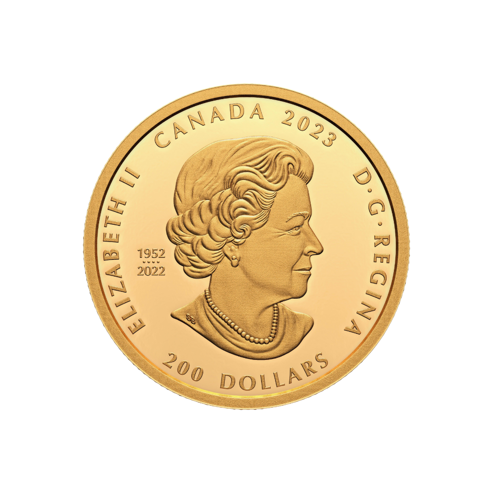 KNOWLEDGE AND INTERCONNECTION Celebrating Canada Diversity 1 Oz Gold Coin $200 Canada 2023