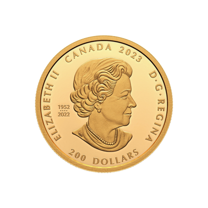 KNOWLEDGE AND INTERCONNECTION Celebrating Canada Diversity 1 Oz Gold Coin $200 Canada 2023